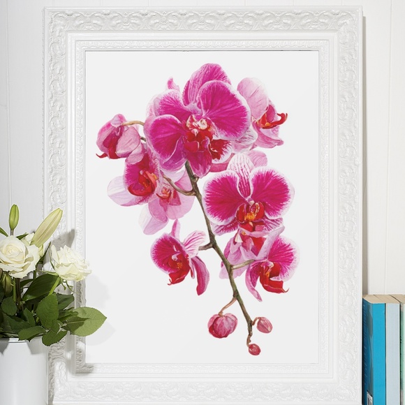 Watercolor Pink Orchids Wall Art Print Unframed - Elegant Floral Serenity - Picture 6 of 6